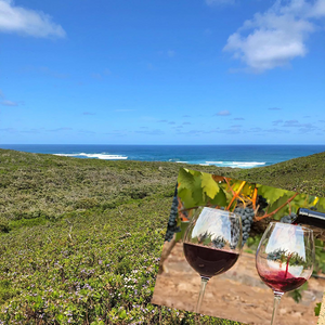 Cabernet Sauvignon: 91 pts "like Bordeaux and Napa in the 70s had a baby"