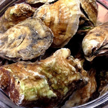 Load image into Gallery viewer, Dozen Oysters ready to shuck at home + Mignonette
