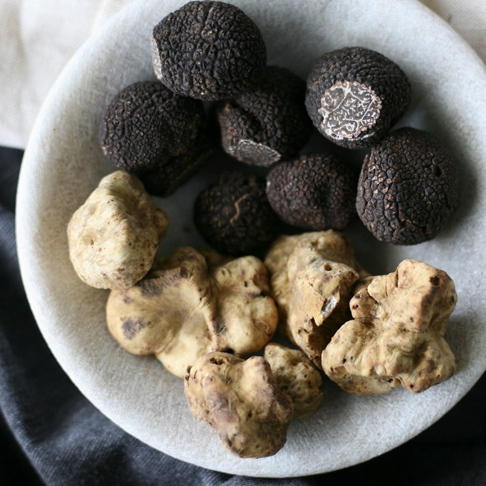 Fresh Truffle Varieties